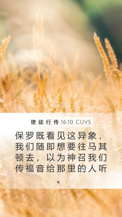 使 徒 行 传 16:10 CUVS Bible Verse Image