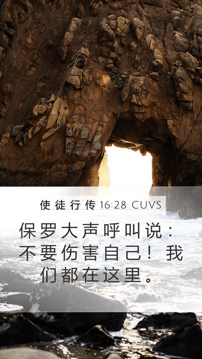 使 徒 行 传 16:28 CUVS Mobile Phone Wallpaper - 保 罗 大 声 呼 叫 说 ： 不 要 伤 害 - Mobile Bible Verse Wallpaper