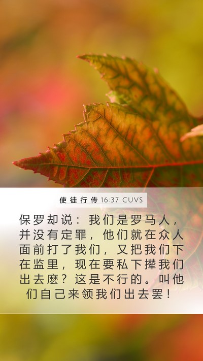 使 徒 行 传 16:37 CUVS Bible Verse Image