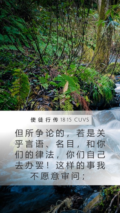 使 徒 行 传 18:15 CUVS Bible Verse Image