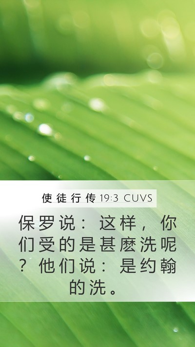 使 徒 行 传 19:3 CUVS Bible Verse Image