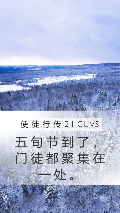 使 徒 行 传 2:1 CUVS Bible Verse Image