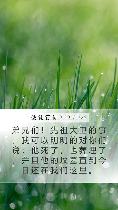 使 徒 行 传 2:29 CUVS Bible Verse Image