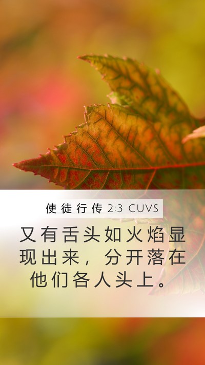 使 徒 行 传 2:3 CUVS Bible Verse Image