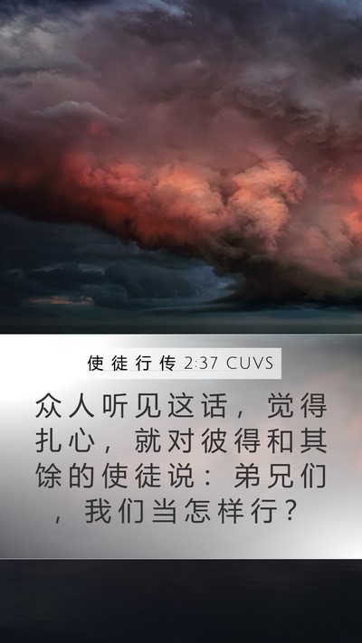 使 徒 行 传 2:37 CUVS Bible Verse Image