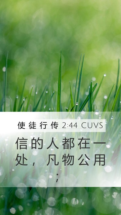 使 徒 行 传 2:44 CUVS Bible Verse Image