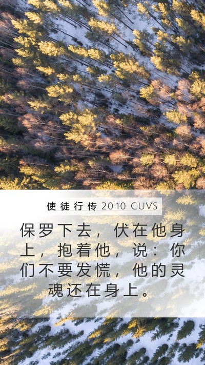 使 徒 行 传 20:10 CUVS Bible Verse Image