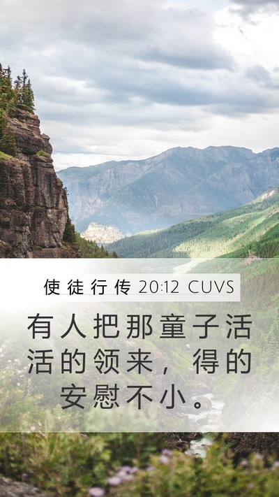 使 徒 行 传 20:12 CUVS Bible Verse Image