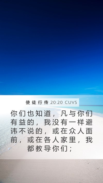 使 徒 行 传 20:20 CUVS Bible Verse Image