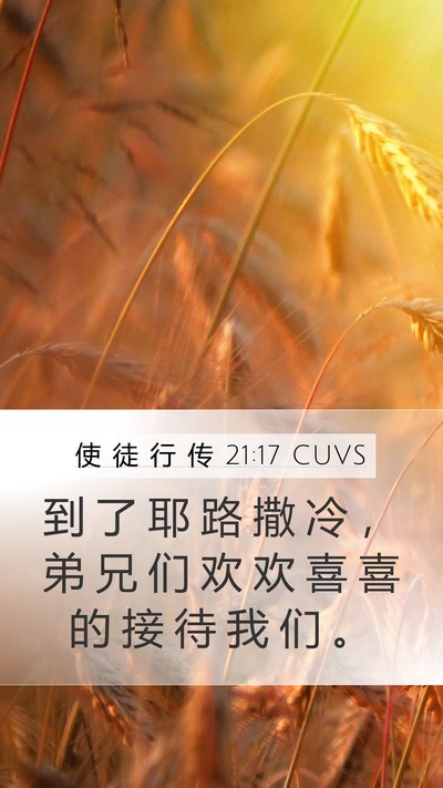 使 徒 行 传 21:17 CUVS Bible Verse Image