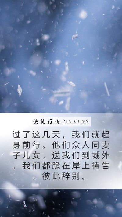 使 徒 行 传 21:5 CUVS Bible Verse Image