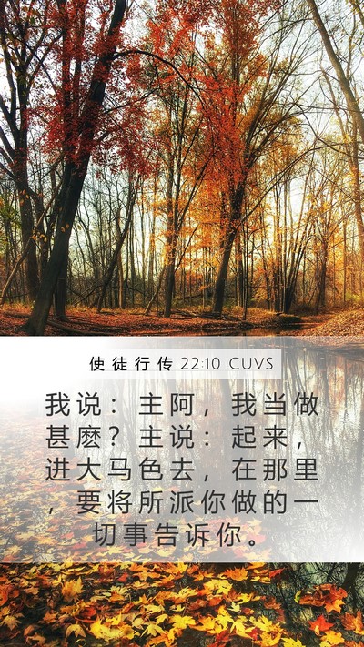 使 徒 行 传 22:10 CUVS Mobile Phone Wallpaper - 我 说 ： 主 阿 ， 我 当 做 甚 麽 ？ - Mobile Bible Verse Wallpaper