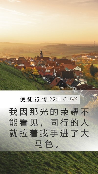 使 徒 行 传 22:11 CUVS Bible Verse Image