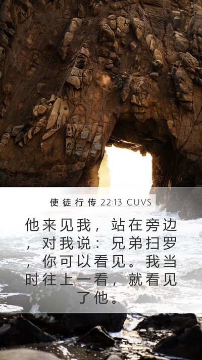 使 徒 行 传 22:13 CUVS Mobile Phone Wallpaper - 他 来 见 我 ， 站 在 旁 边 ， 对 我 - Mobile Bible Verse Wallpaper
