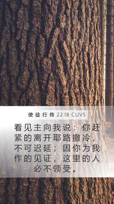 使 徒 行 传 22:18 CUVS Bible Verse Image