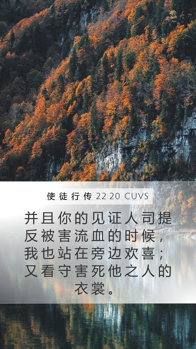 使 徒 行 传 22:20 CUVS Bible Verse Image