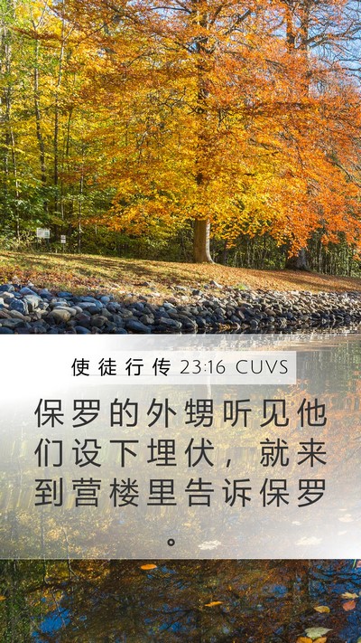 使 徒 行 传 23:16 CUVS Bible Verse Image