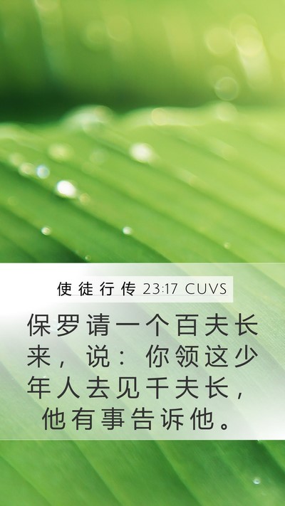 使 徒 行 传 23:17 CUVS Bible Verse Image