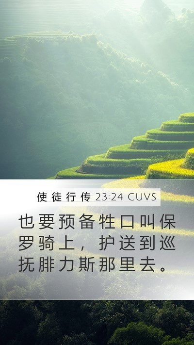 使 徒 行 传 23:24 CUVS Bible Verse Image