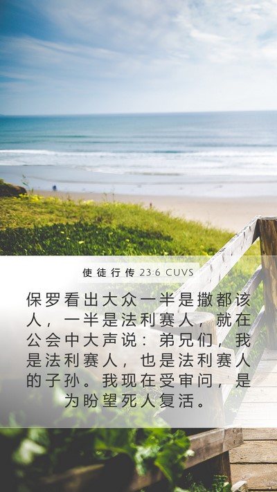 使 徒 行 传 23:6 CUVS Bible Verse Image