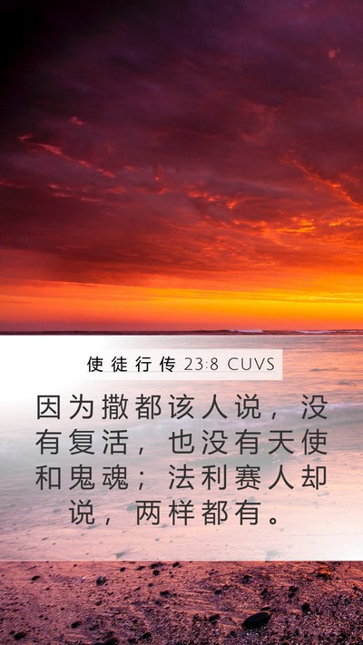 使 徒 行 传 23:8 CUVS Bible Verse Image