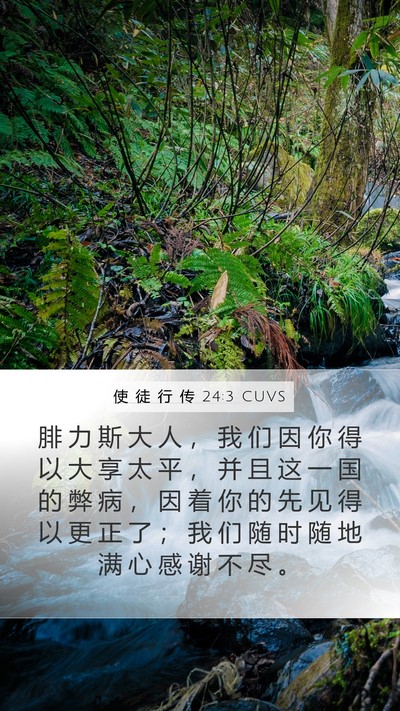 使 徒 行 传 24:3 CUVS Bible Verse Image