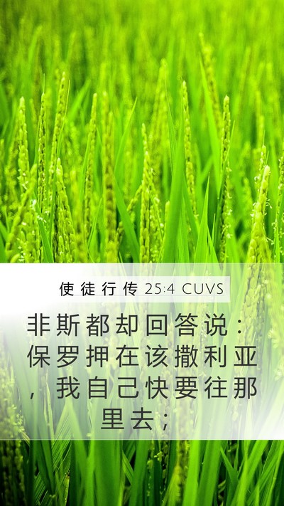 使 徒 行 传 25:4 CUVS Bible Verse Image