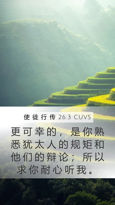 使 徒 行 传 26:3 CUVS Bible Verse Image