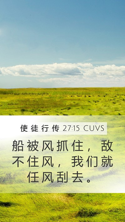使 徒 行 传 27:15 CUVS Mobile Phone Wallpaper - 船 被 风 抓 住 ， 敌 不 住 风 ， 我 - Mobile Bible Verse Wallpaper