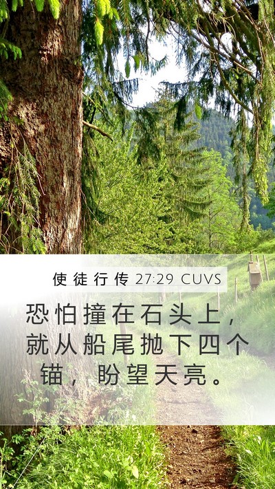 使 徒 行 传 27:29 CUVS Bible Verse Image