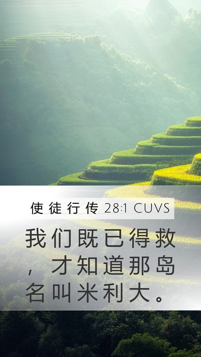 使 徒 行 传 28:1 CUVS Bible Verse Image