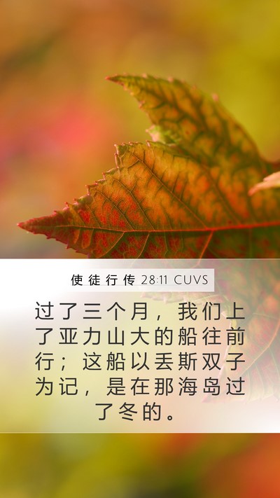 使 徒 行 传 28:11 CUVS Bible Verse Image