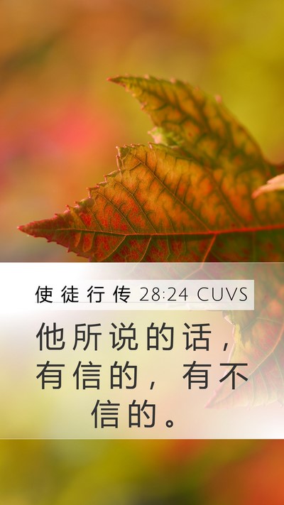 使 徒 行 传 28:24 CUVS Bible Verse Image