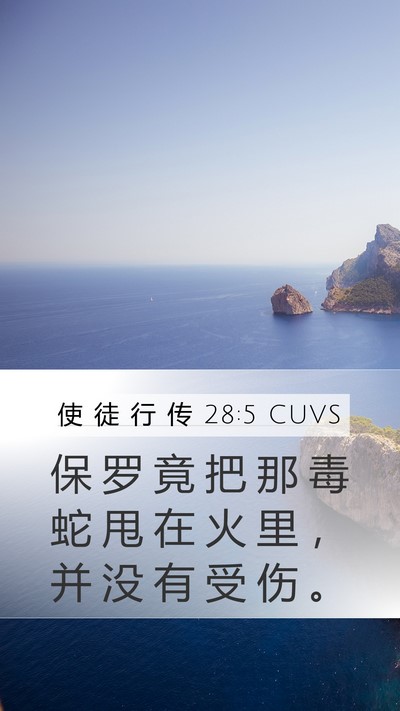 使 徒 行 传 28:5 CUVS Bible Verse Image