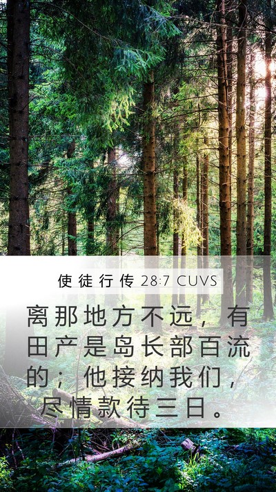 使 徒 行 传 28:7 CUVS Bible Verse Image