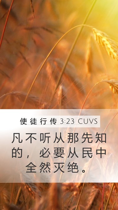 使 徒 行 传 3:23 CUVS Mobile Phone Wallpaper - 凡 不 听 从 那 先 知 的 ， 必 要 从 - Mobile Bible Verse Wallpaper