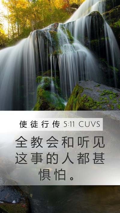 使 徒 行 传 5:11 CUVS Mobile Phone Wallpaper - 全 教 会 和 听 见 这 事 的 人 都 甚 - Mobile Bible Verse Wallpaper