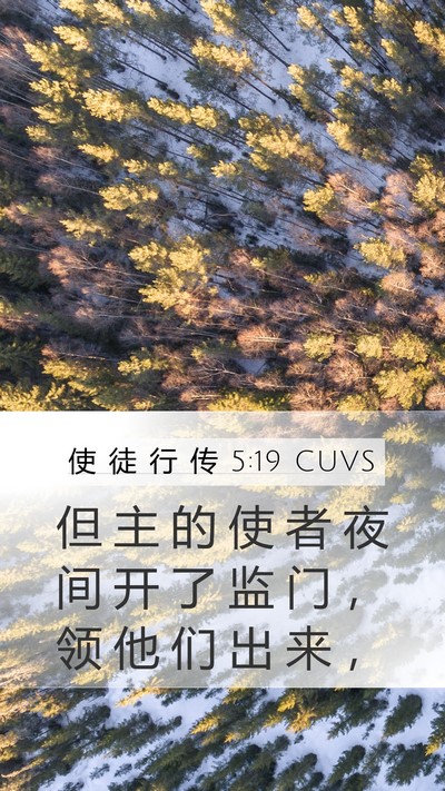 使 徒 行 传 5:19 CUVS Bible Verse Image