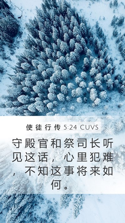 使 徒 行 传 5:24 CUVS Bible Verse Image