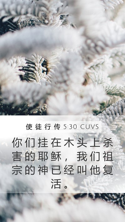 使 徒 行 传 5:30 CUVS Bible Verse Image