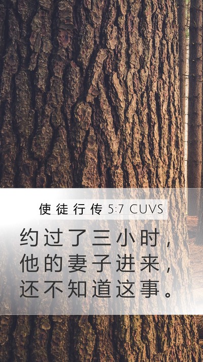 使 徒 行 传 5:7 CUVS Mobile Phone Wallpaper - 约 过 了 三 小 时 ， 他 的 妻 子 进 - Mobile Bible Verse Wallpaper