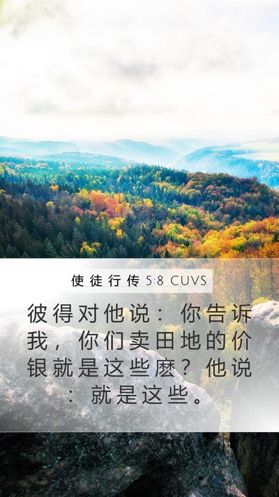 使 徒 行 传 5:8 CUVS Mobile Phone Wallpaper - 彼 得 对 他 说 ： 你 告 诉 我 ， 你 - Mobile Bible Verse Wallpaper