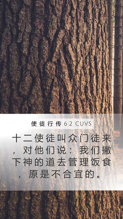 使 徒 行 传 6:2 CUVS Bible Verse Image