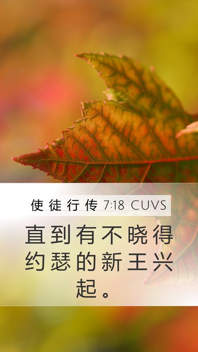 使 徒 行 传 7:18 CUVS Mobile Phone Wallpaper - 直 到 有 不 晓 得 约 瑟 的 新 王 兴 - Mobile Bible Verse Wallpaper
