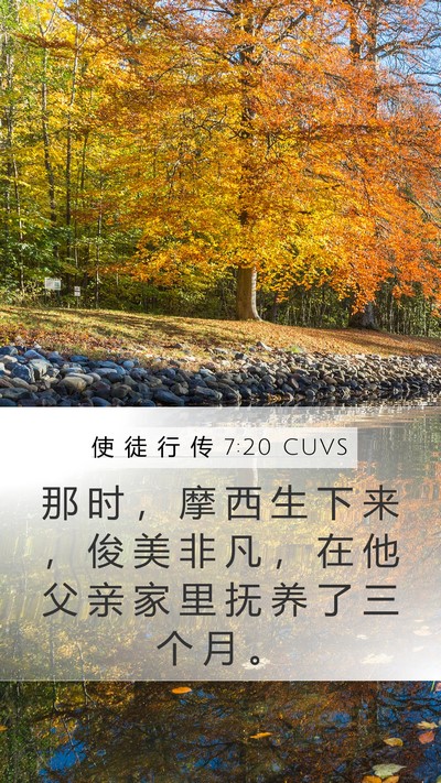使 徒 行 传 7:20 CUVS Bible Verse Image