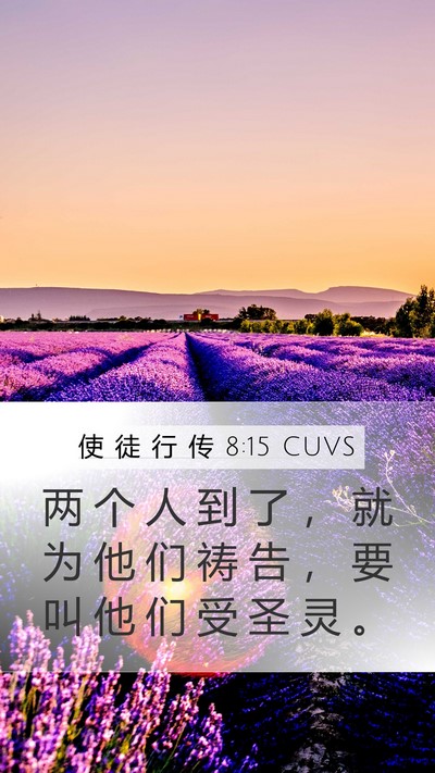 使 徒 行 传 8:15 CUVS Bible Verse Image