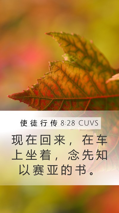 使 徒 行 传 8:28 CUVS Bible Verse Image
