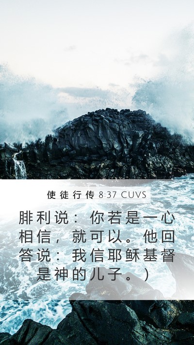使 徒 行 传 8:37 CUVS Mobile Phone Wallpaper - 腓 利 说 ： 你 若 是 一 心 相 信 ， - Mobile Bible Verse Wallpaper