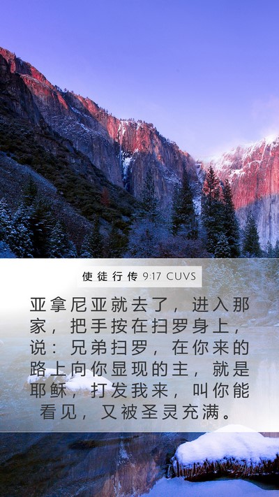 使 徒 行 传 9:17 CUVS Bible Verse Image
