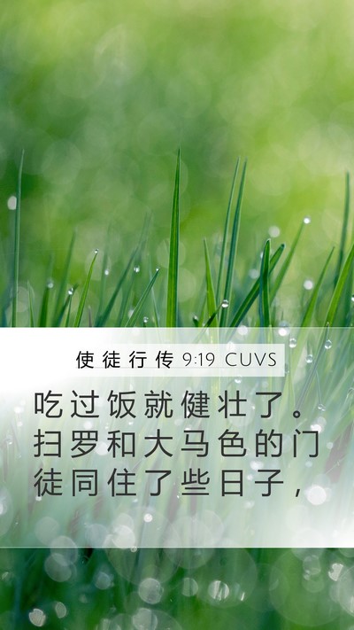 使 徒 行 传 9:19 CUVS Bible Verse Image